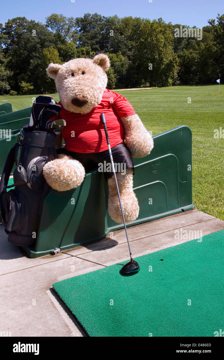teddy bear range
