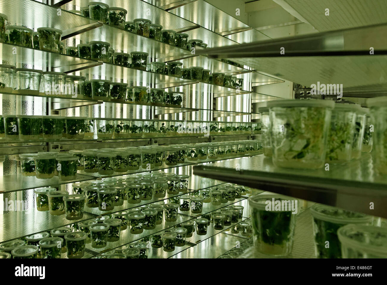 Max planck institute hi-res stock photography and images - Alamy