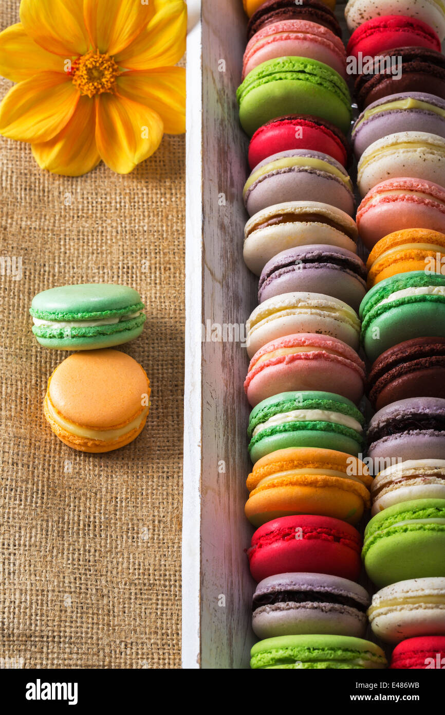 assorted macaroon Stock Photo