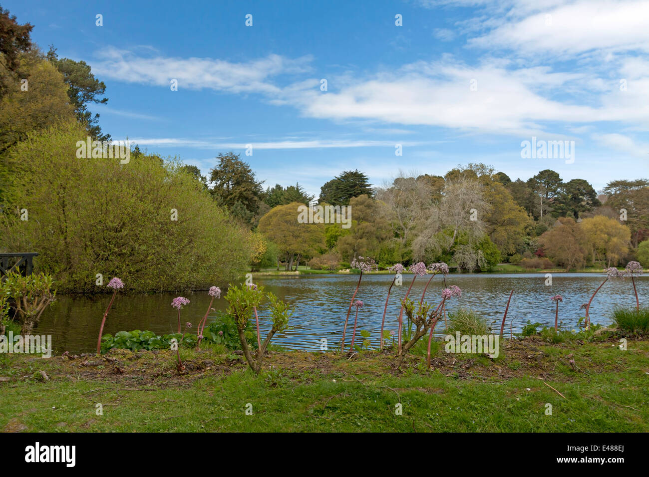 View on Mount Stewart - Lake & Garden, nominated as a UNESCO World Heritage Site, County Down, Northern Ireland, United Kingdom. Stock Photo