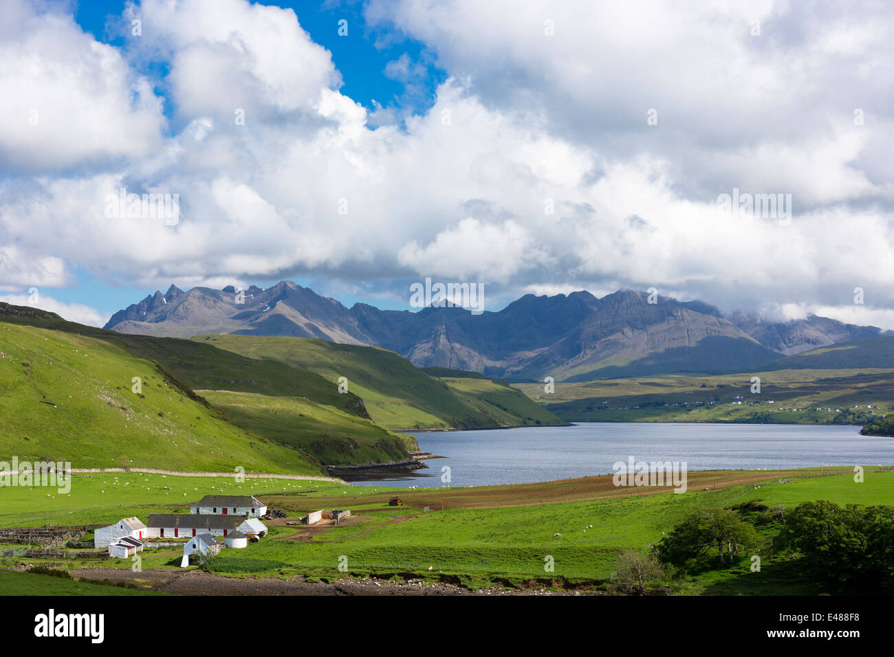 Cuillin mountain range - Cuillins - croft farm, sheep and Loch Harport on Isle of Skye in the Highlands and Islands of SCOTLAND Stock Photo
