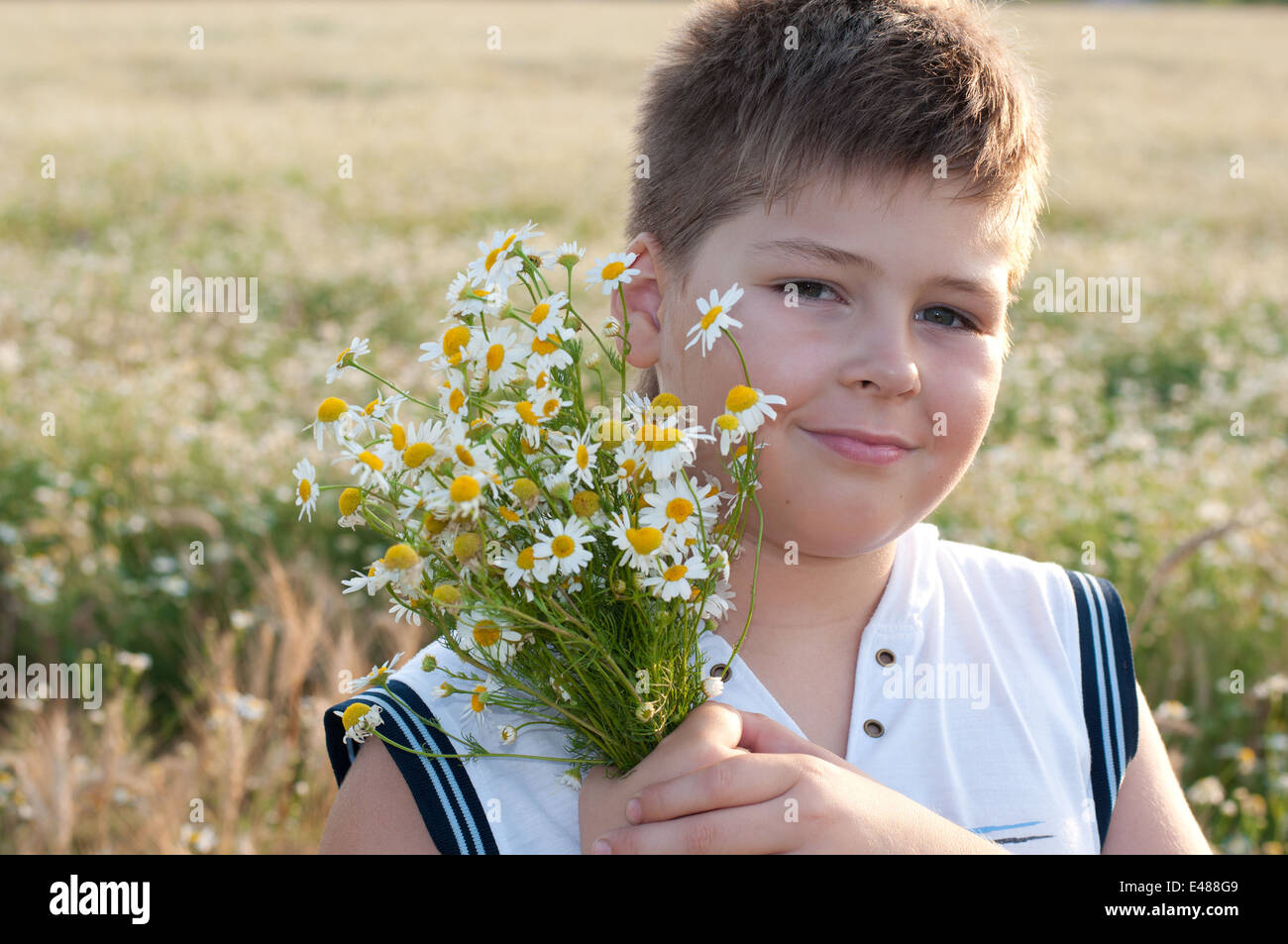 camomile boy child flower nature one years blond petals white day 8 9 sunny look straight face portrait field meadow summer cauc Stock Photo