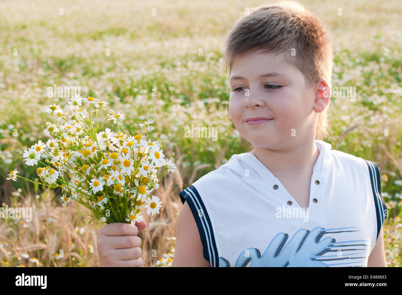camomile boy child flower nature one years blond petals white day 8 9 sunny look straight face portrait field meadow summer cauc Stock Photo