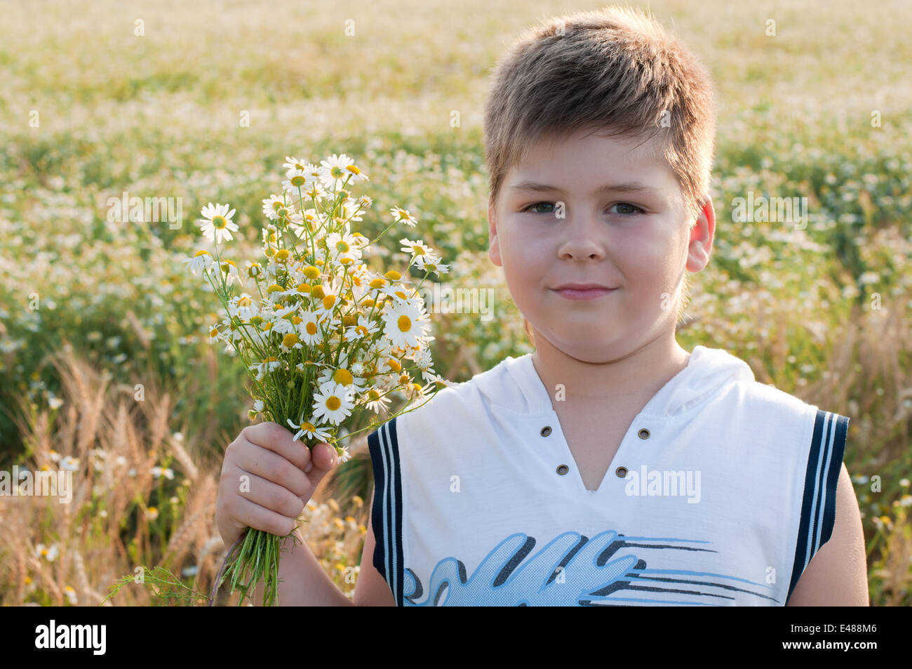 camomile boy child flower nature one years blond petals white day 8 9 sunny look straight face portrait field meadow summer cauc Stock Photo