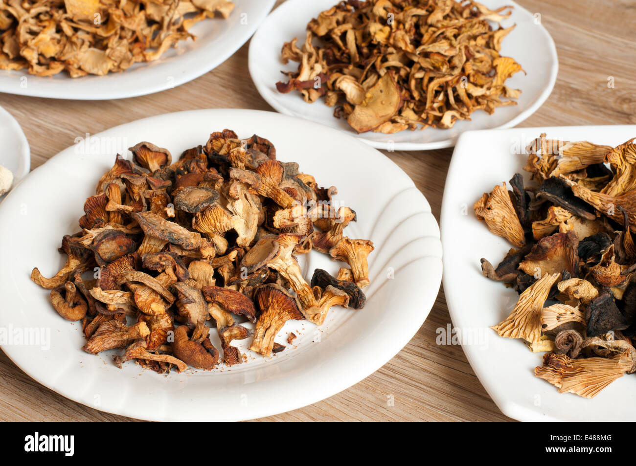 mushrooms forest dry eating many different variety mixed nature plates
