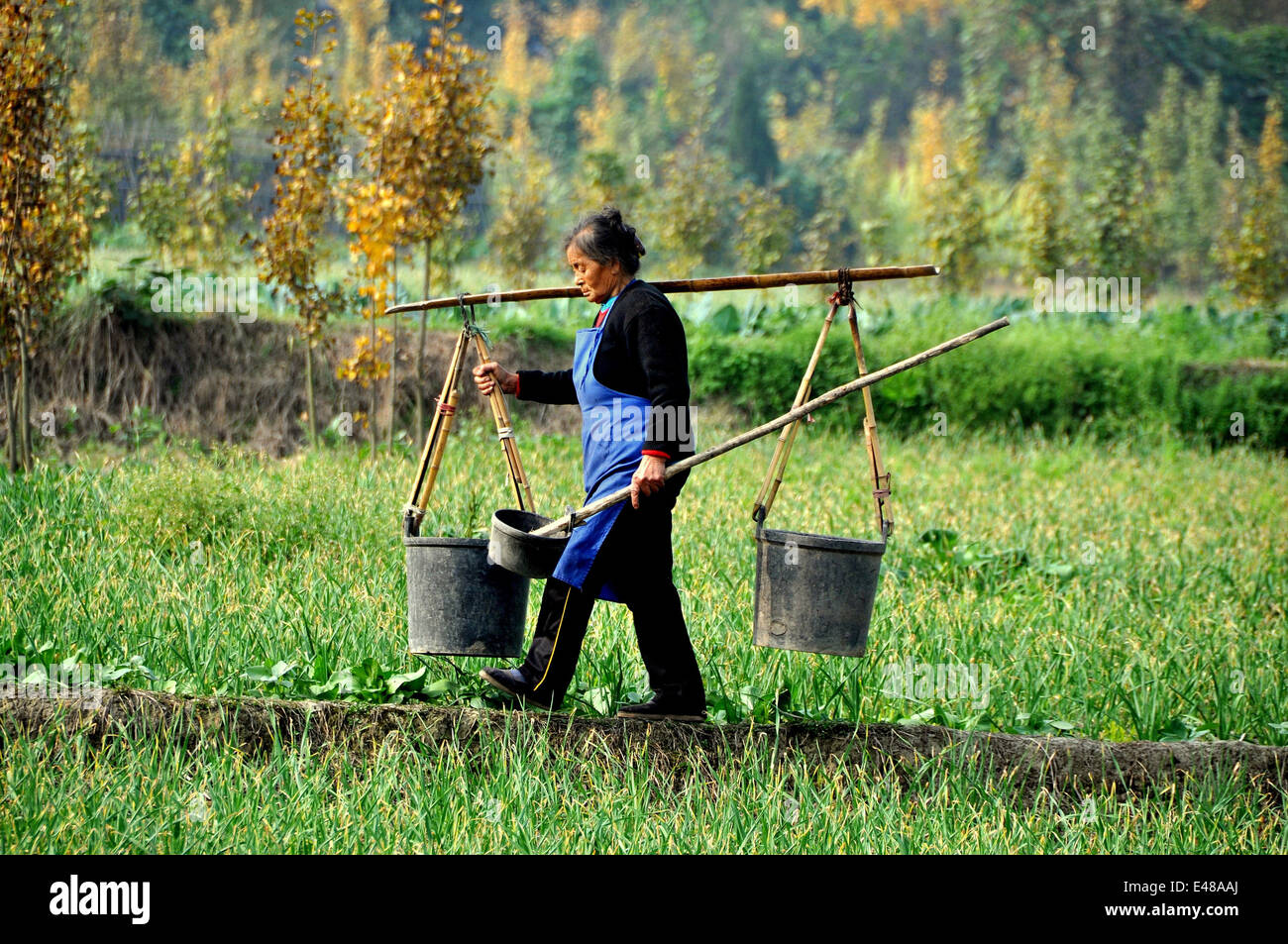 Shoulder yoke hires stock photography and images Alamy