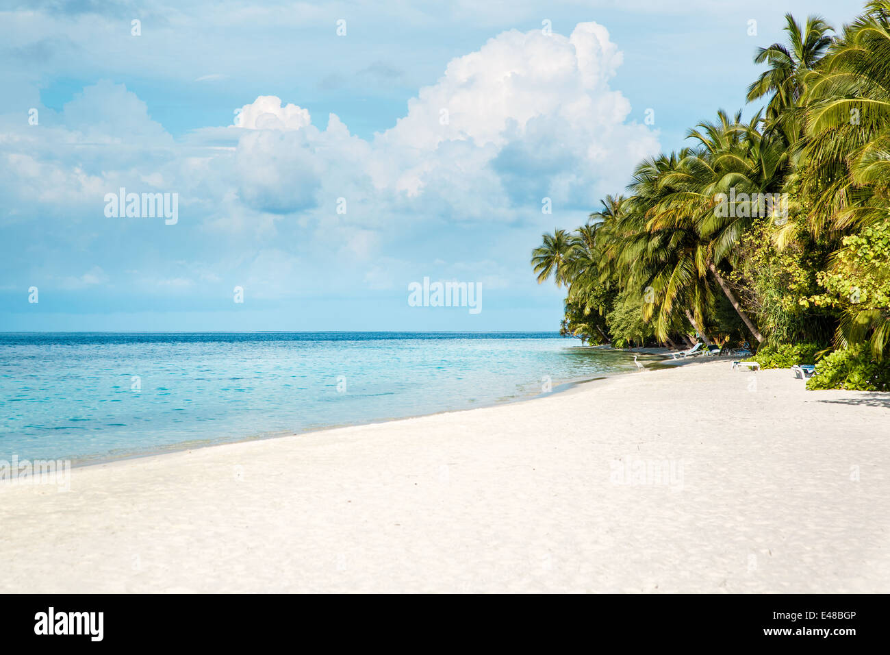 Tropical Maldives beach - Vacation Concept Stock Photo