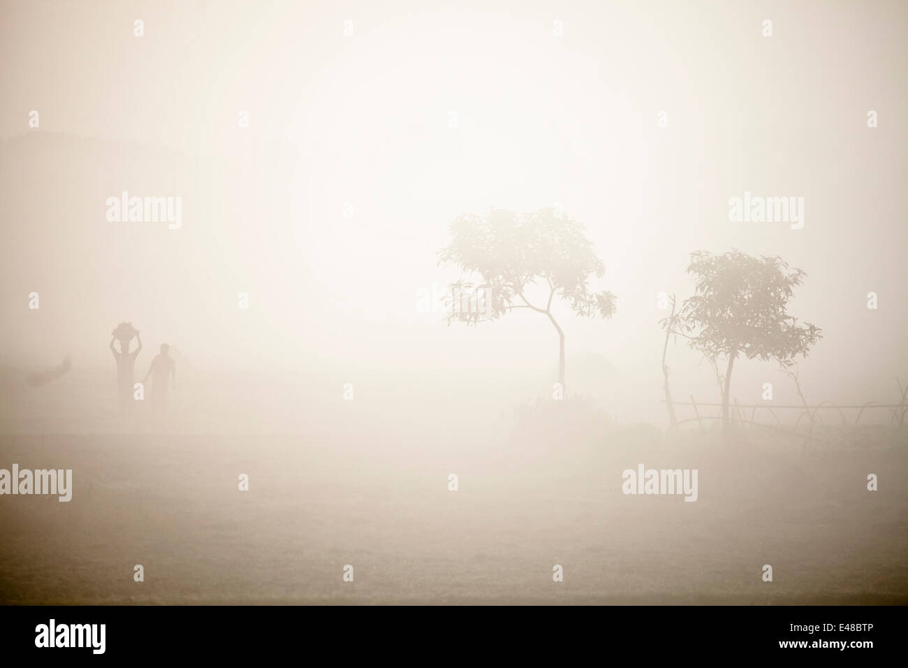 winter in Bangladesh Stock Photo - Alamy