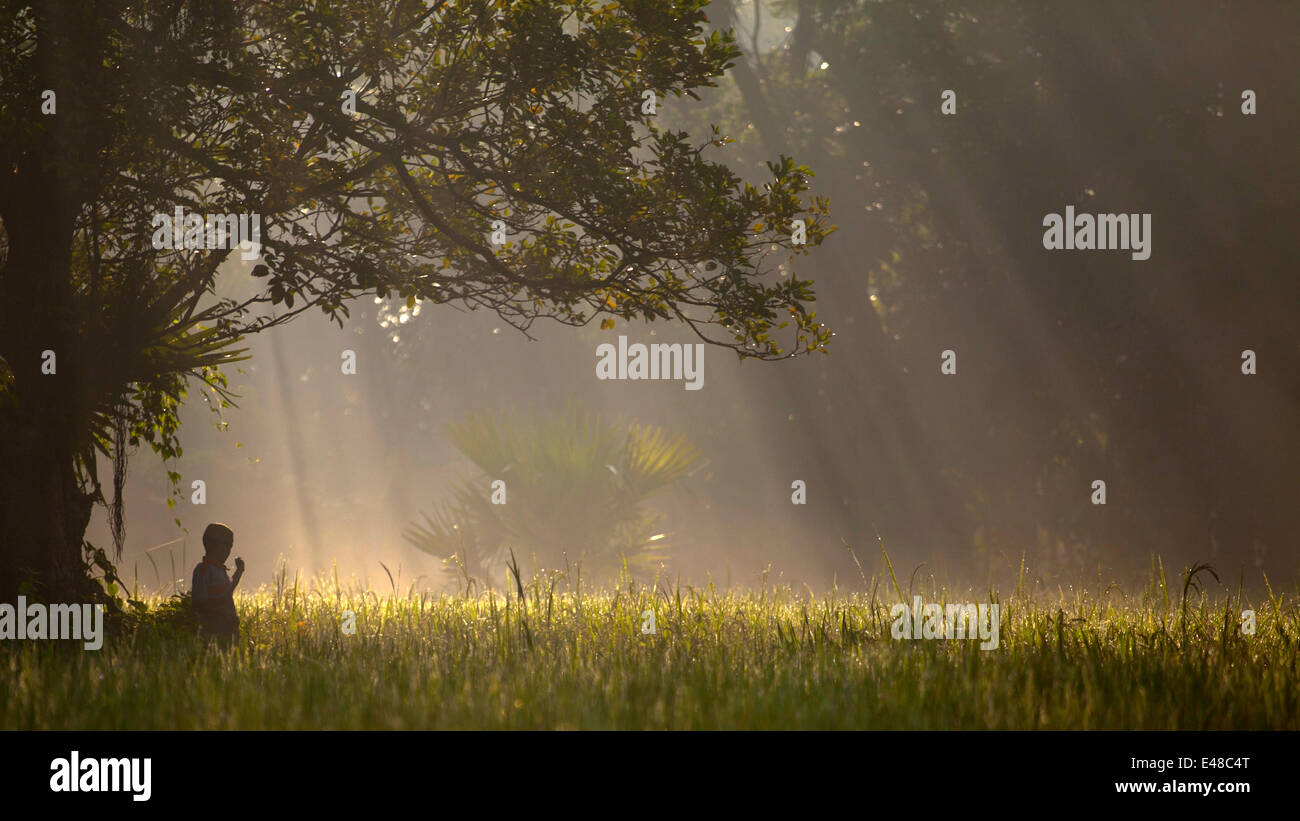 winter in Bangladesh Stock Photo - Alamy