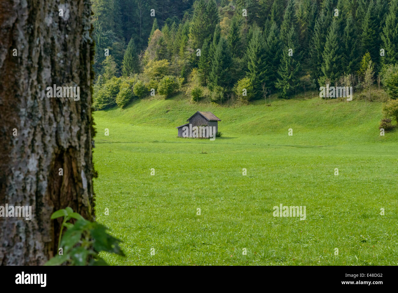 Cottage in a green meadow in Bavaria, Germany Stock Photo Alamy