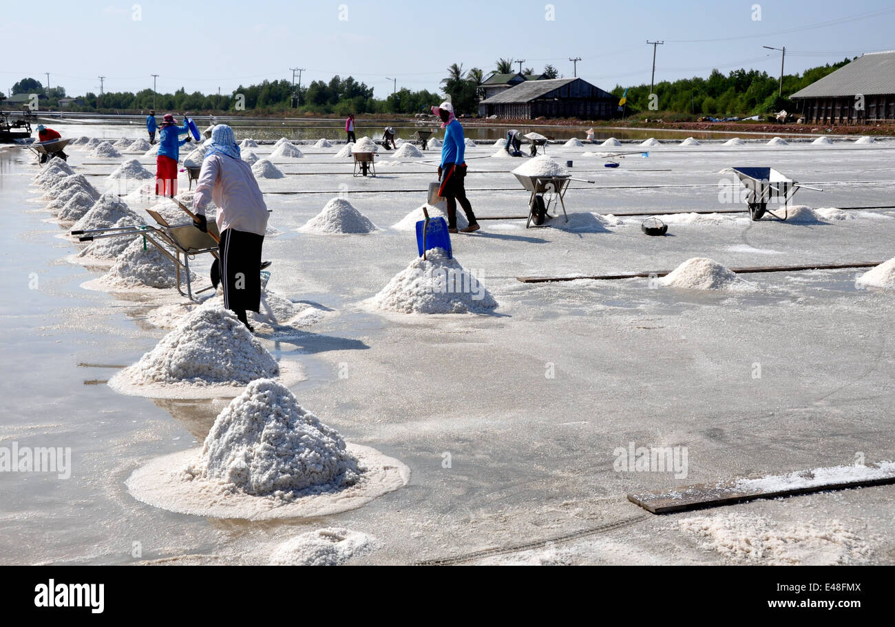 SAMUT SONGKHRAM, THAILAND: Workers fill wheel barrows with freshly harvested sea salt at a salt flats farm Stock Photo