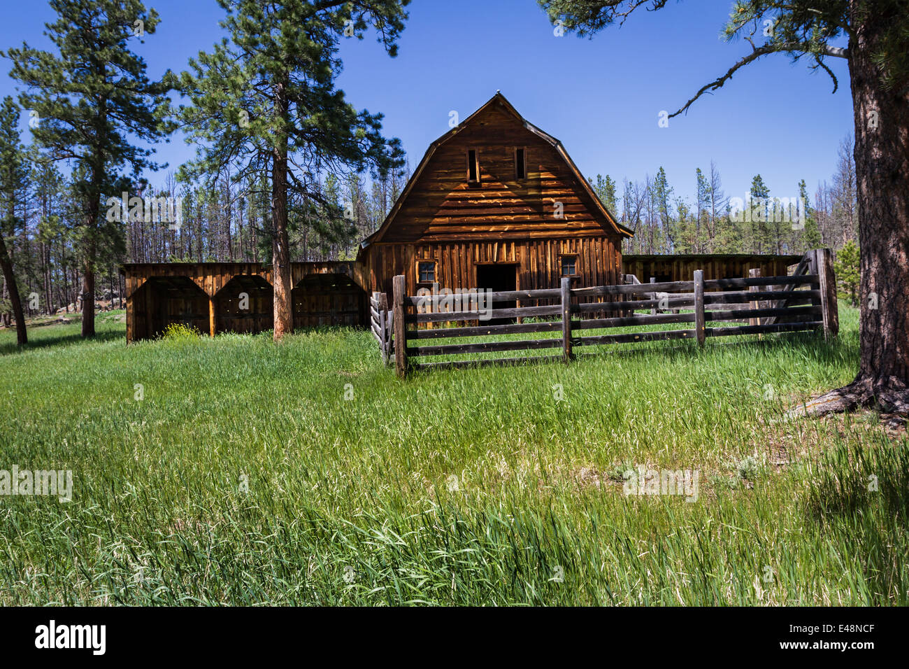 old abandoned farmhouse in the black hills of South Dakota Stock Photo Alamy