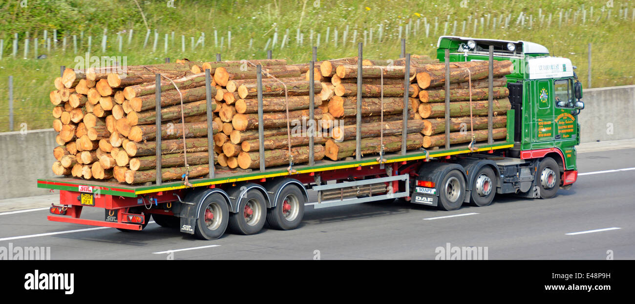 Side view of haulage business hgv lorry truck & driver with articulated flat bed trailer load of cut lengths of tree trunk timber logs on UK motorway Stock Photo