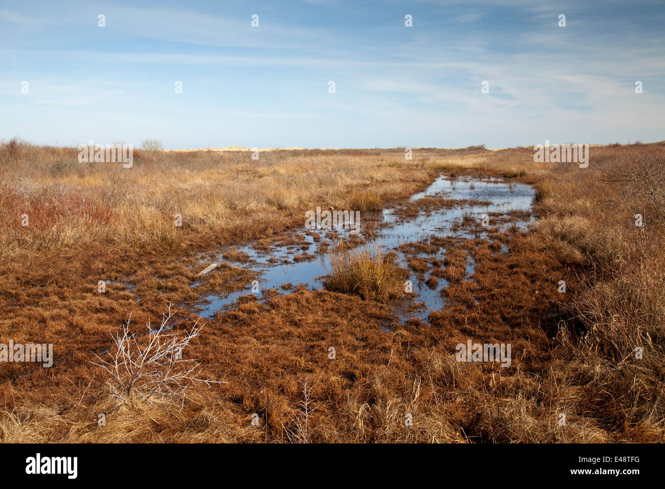 Salt marshes and tidal creeks, Borkum, East Frisian Islands, East Frisia, Lower Saxony, Germany, Europe Stock Photo