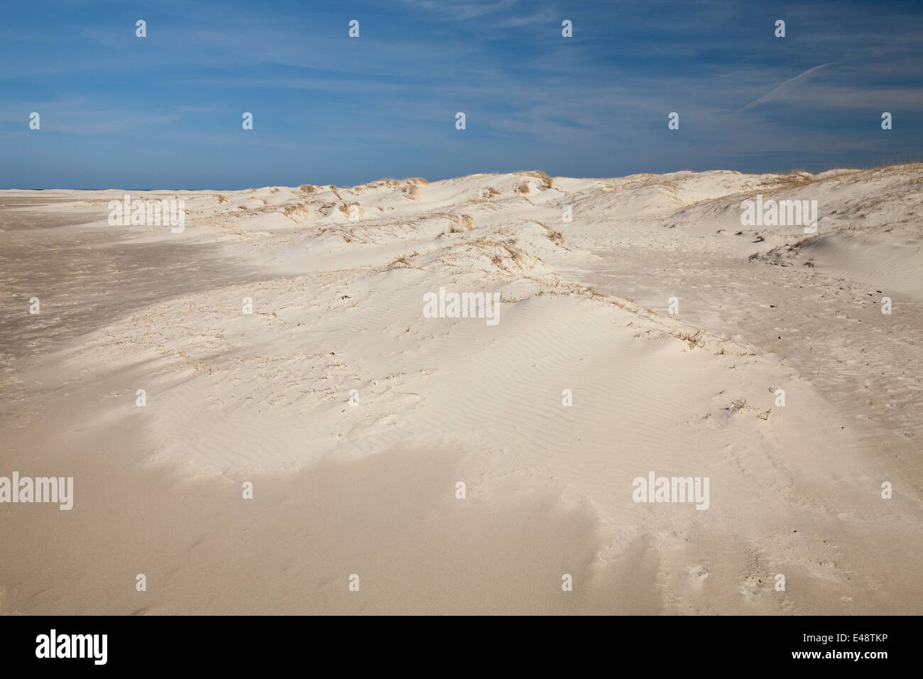 Sand dunes at Nordstrand beach, Borkum, East Frisian Islands, East Frisia, Lower Saxony, Germany, Europe Stock Photo