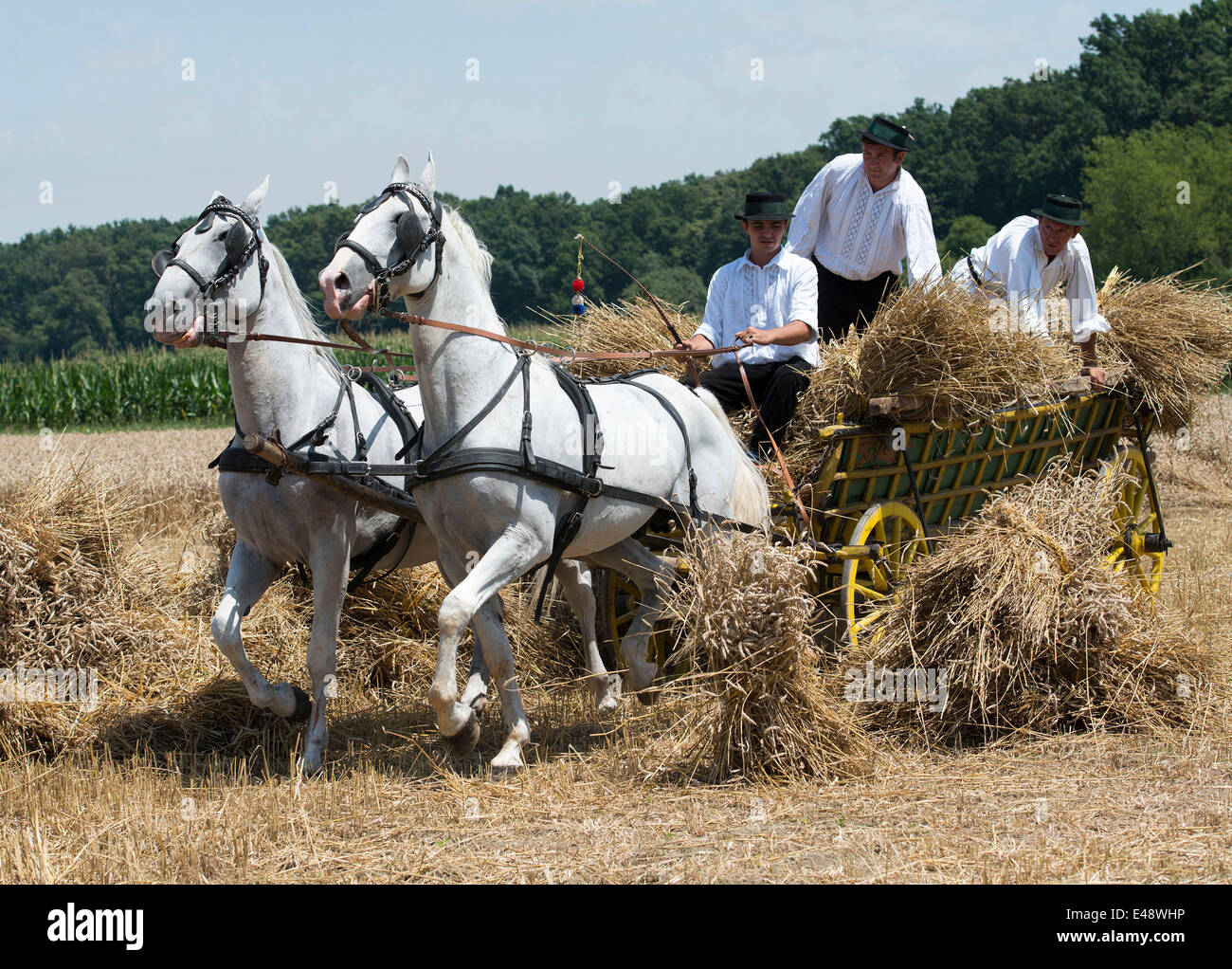 Threshing Winter 2014