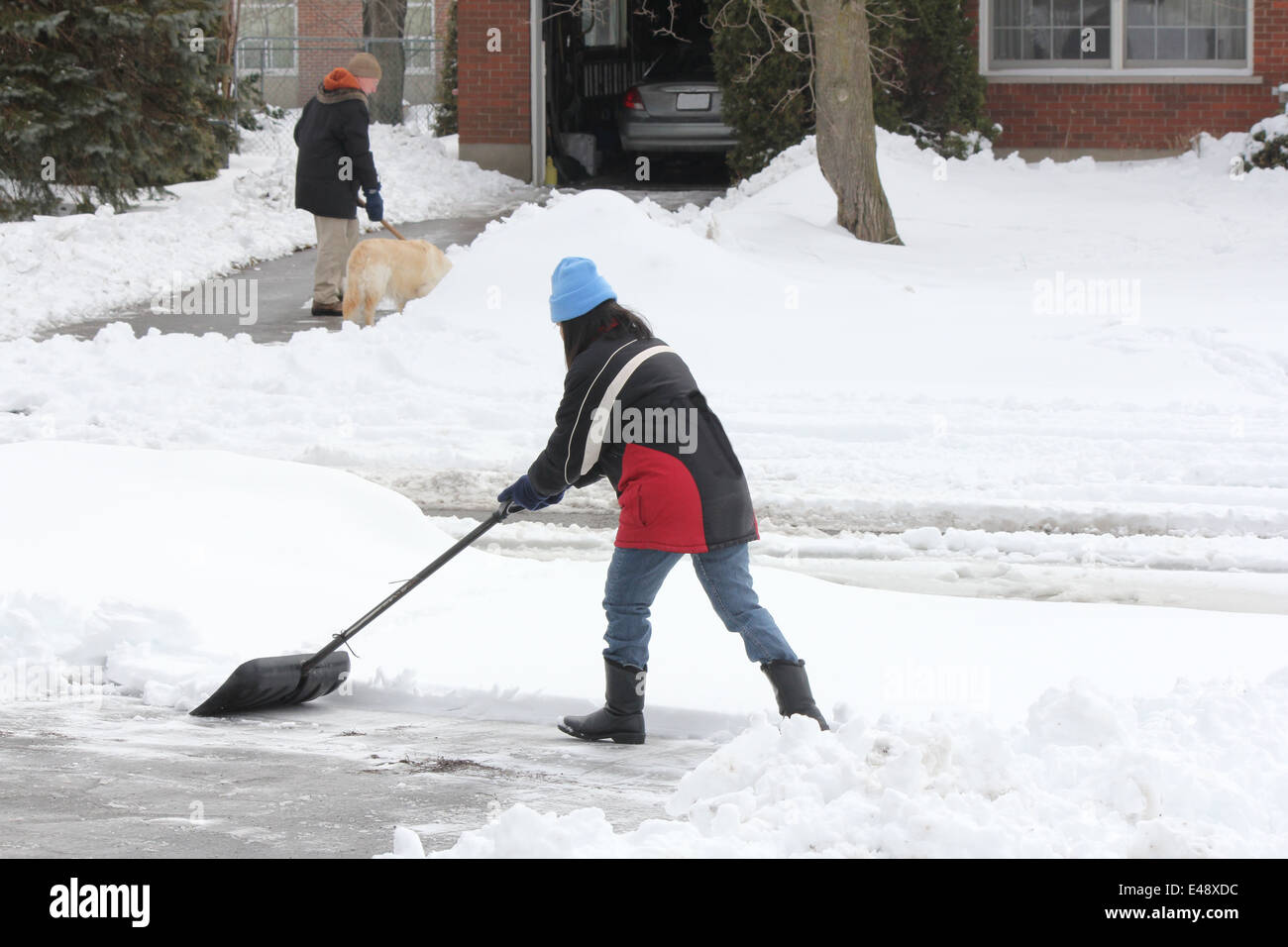 Lady shoveling the deep snow off her driveway after a snow storm Stock