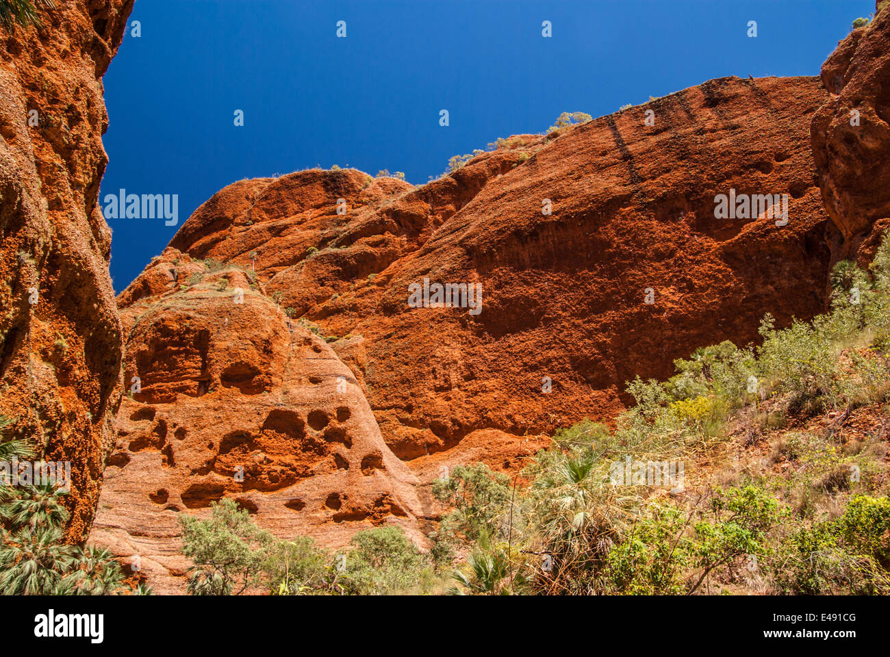 Bungle Bungles (Purnululu)