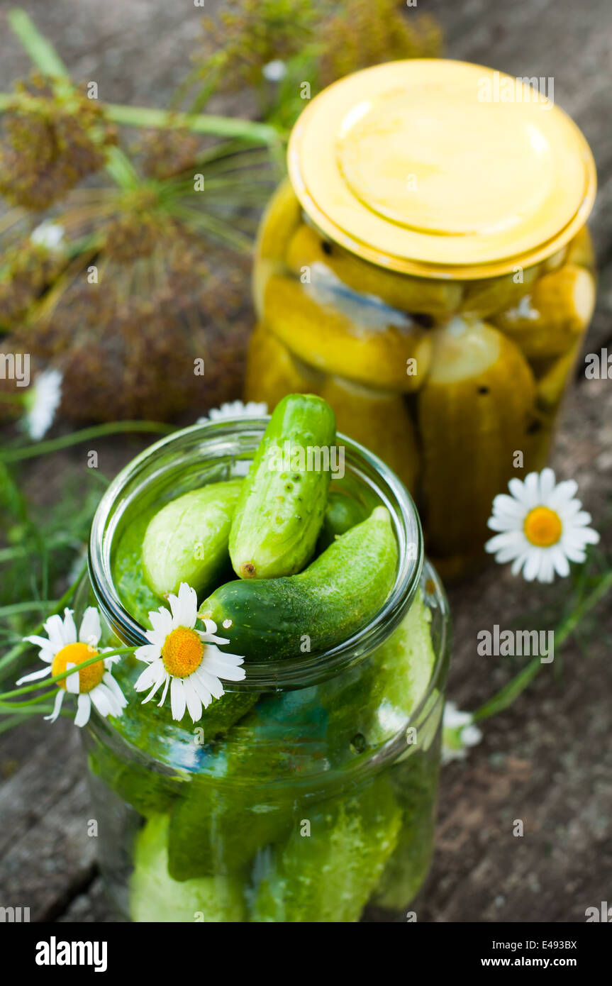 How to pickle cucumbers for the winter in banks How to pickle cucumbers for the winter in banks