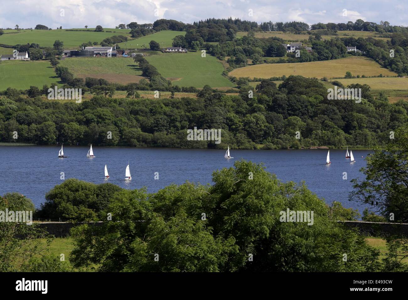 Lochwinnoch, Renfrewshire, Scotland, UK, Sunday, 6th July, 2014. People making the most of the dry, warm and sunny weather by having a sail on Castle Semple Loch in Clyde Muirshiel Regional Park Stock Photo