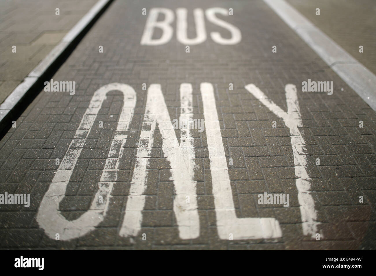 Bus Lane markings on block paved road surface Stock Photo Alamy