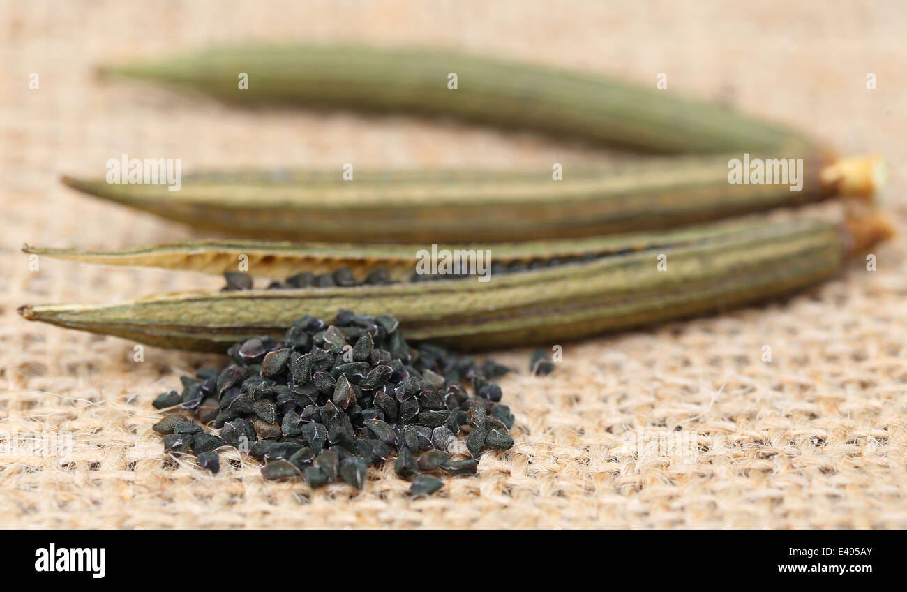 Jute seeds with pods on textured surface Stock Photo Alamy