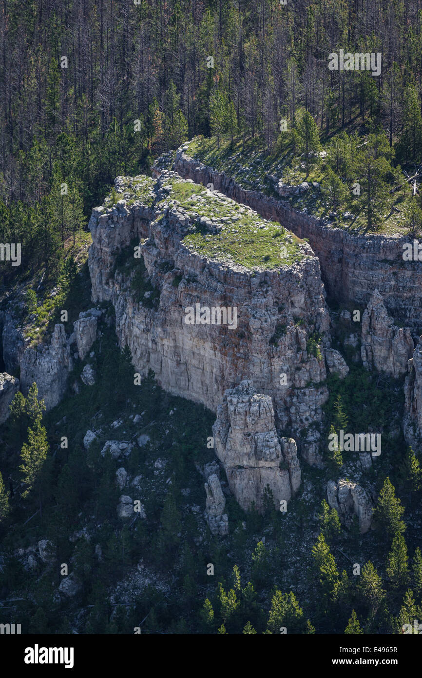 aerial view of the black hills of South Dakota in springtime Stock Photo