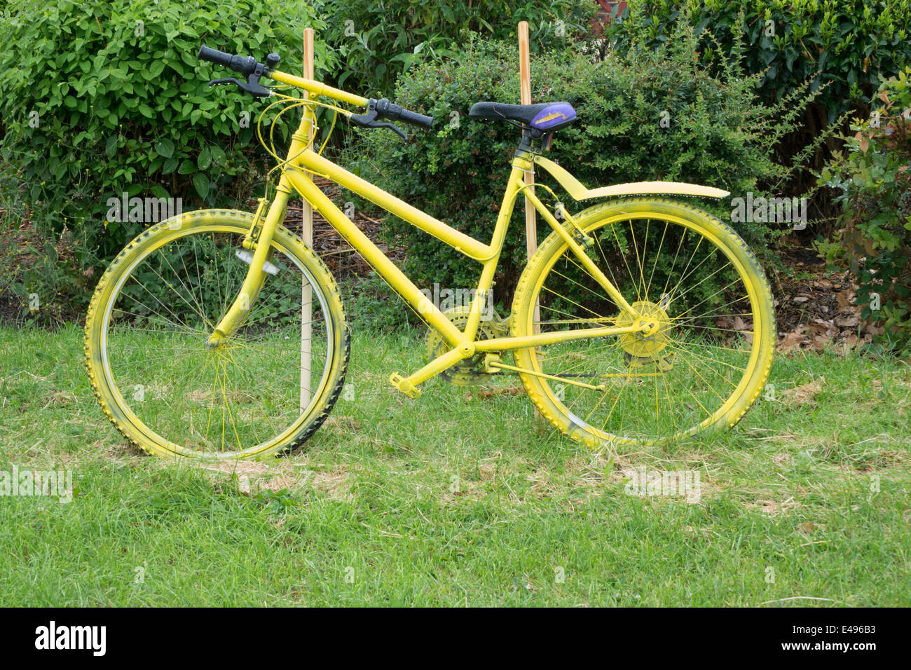 local cycle