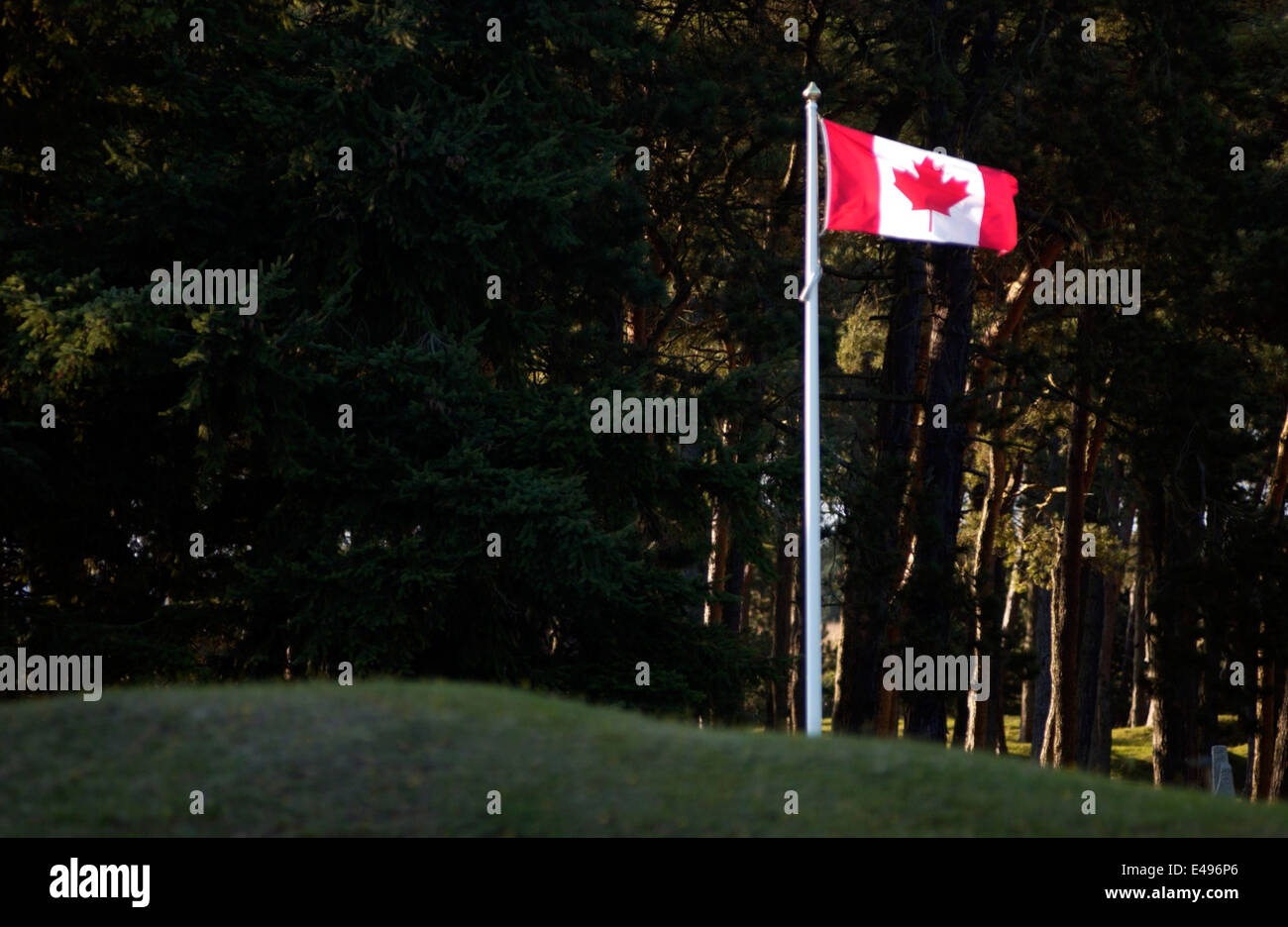 AJAXNETPHOTO. 2005. VIMY RIDGE, FRANCE - SOMME - PICARDY-THE CANADIAN NATIONAL FLAG FLIES OVER THE BATTLE TRENCHES OF THE GREAT WAR. PHOTO:JONATHAN EASTLAND/AJAX REF:D52110/575 Stock Photo