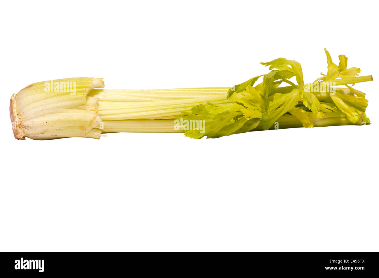 Sticks of Celery Stock Photo