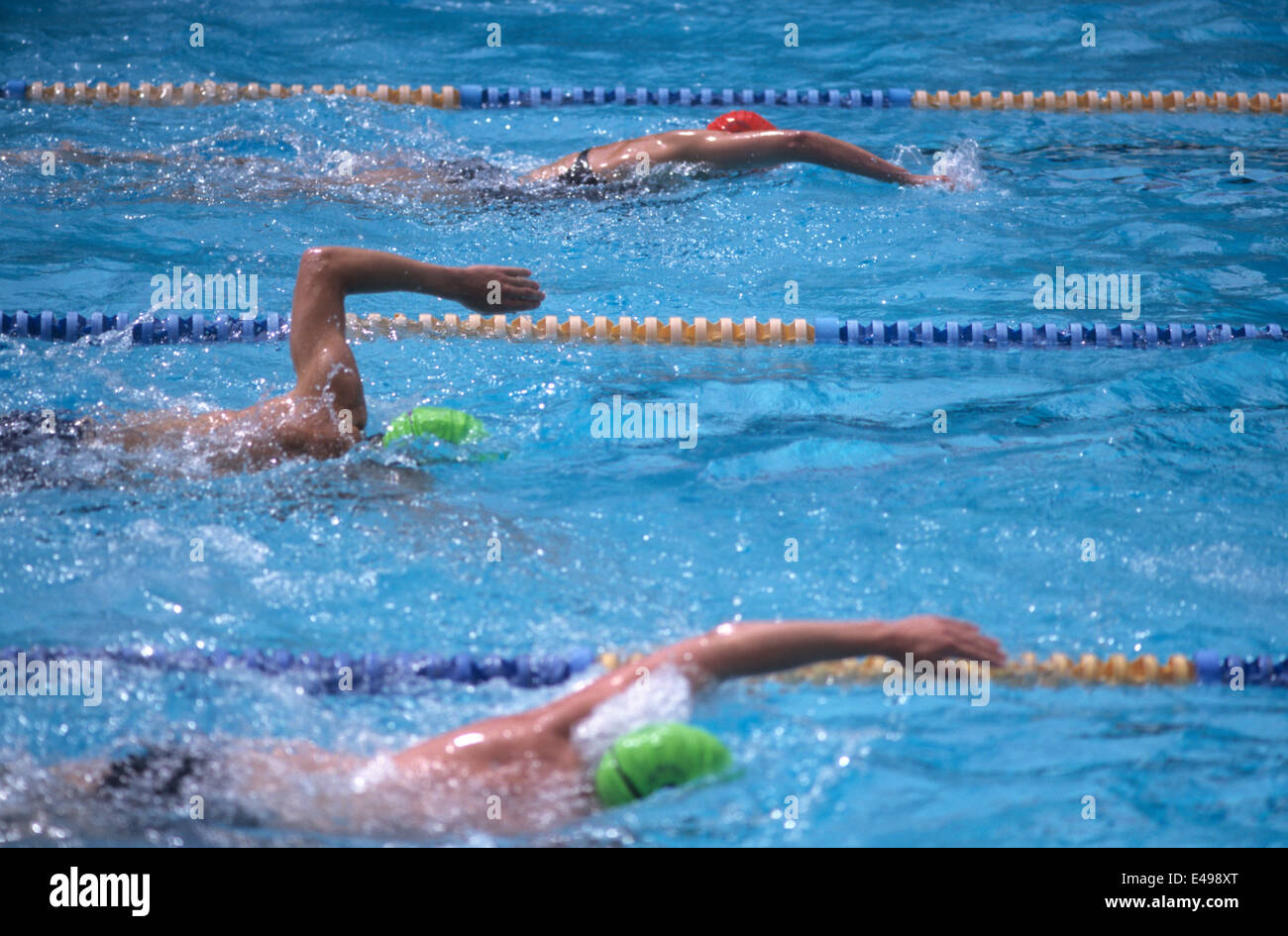Swimming, racing, swimmers in lanes in race Stock Photo - Alamy