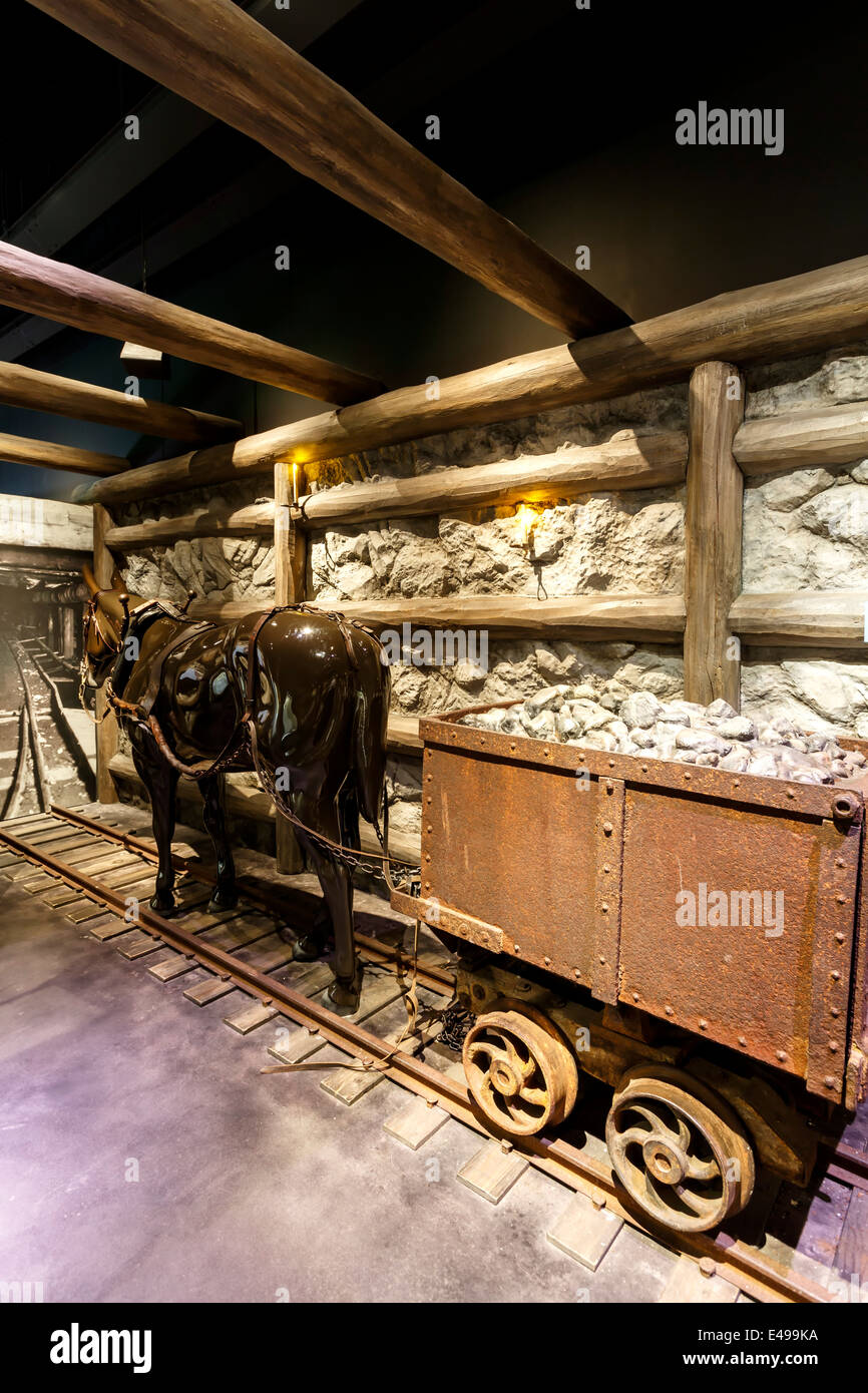 Mule pulling cart, Sunny Side Mine, Colorado Stories Exhibit, History Colorado Center (museum), Denver, Colorado USA Stock Photo