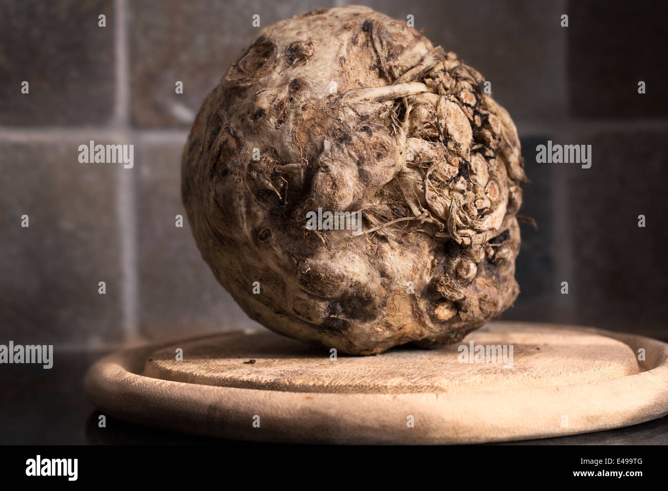 Celeriac, root vegetable recently harvested. Stock Photo