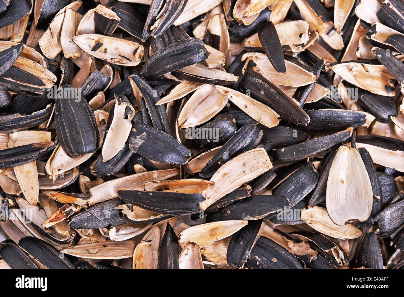 Waste from seeds background Stock Photo