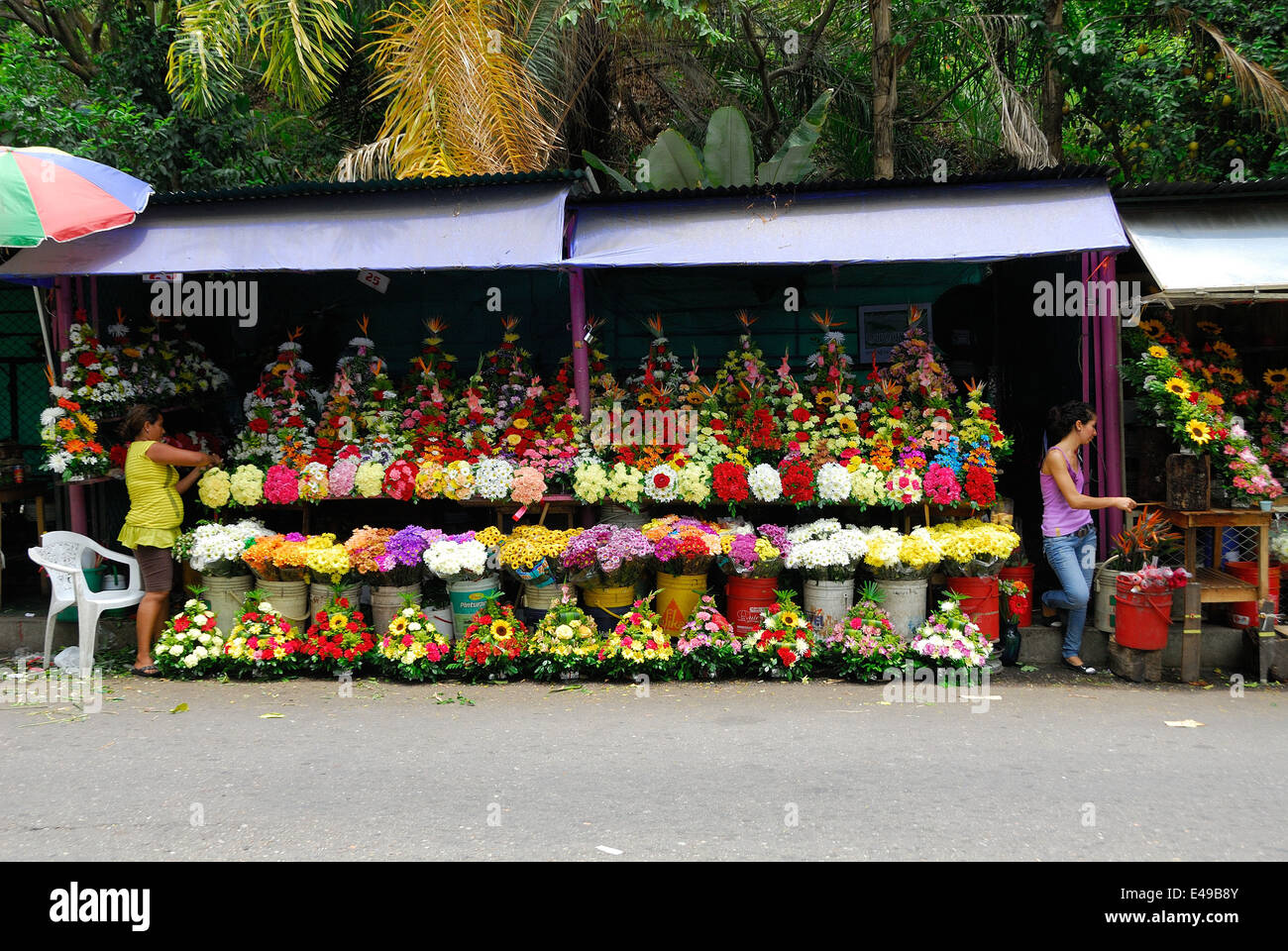 An attractive roadside flower stall Stock Photo Alamy