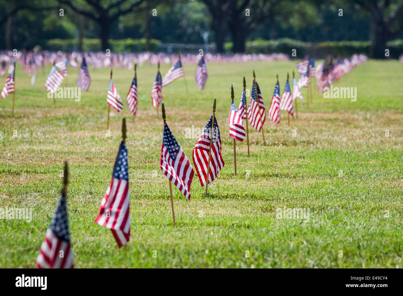 Introduction to veterans day program