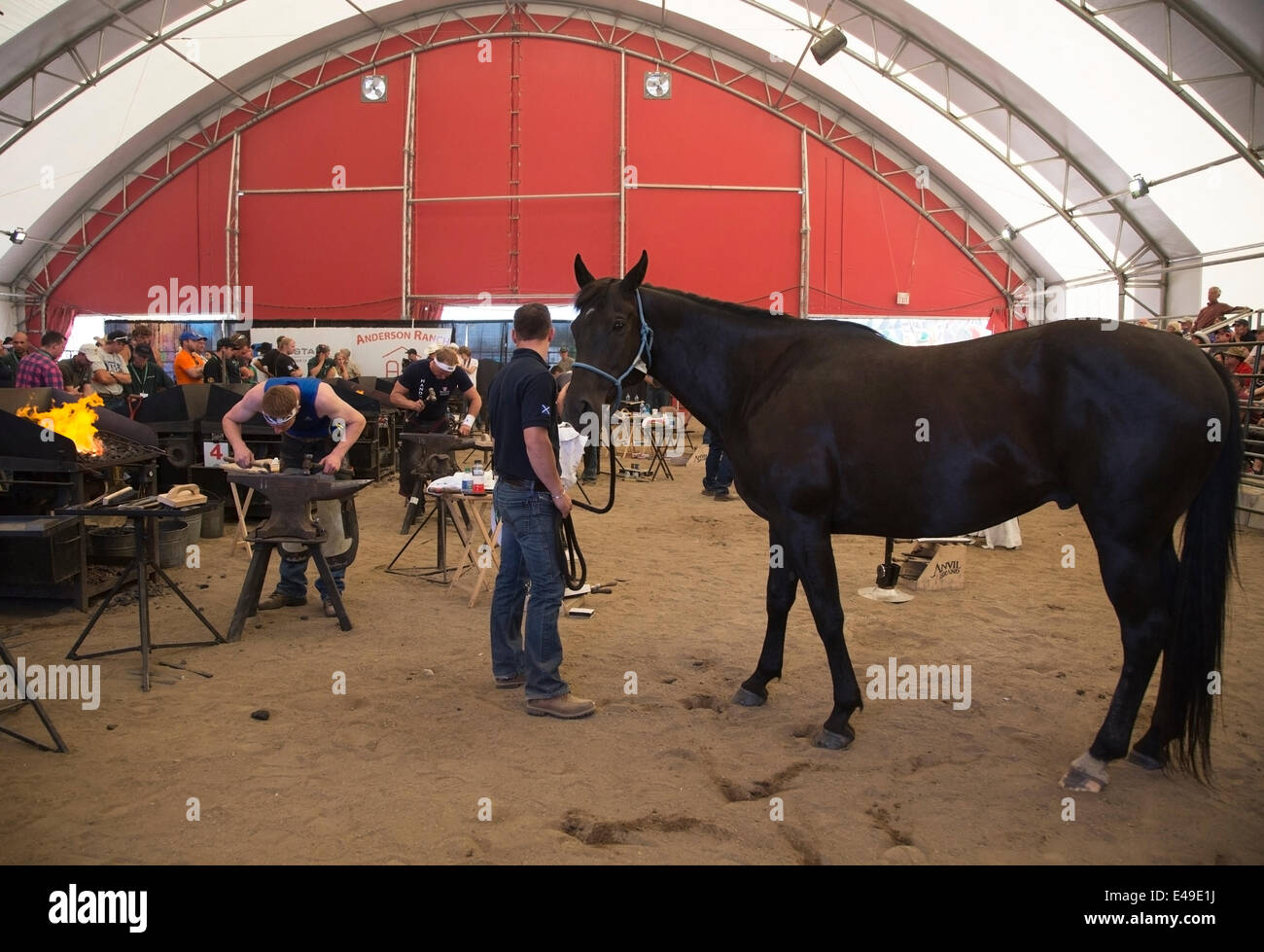 Calgary, Alberta, Canada. 06th July, 2014. Farriers forgeing horse shoes as they compete in the final round of the World Championships Blacksmiths' competition at the Calgary Stampede on Sunday, July 6, 2014. The top five farriers are competing for the title of world champion in this longstanding tradition at the Stampede. Calgary, Alberta, Canada. Credit:  Rosanne Tackaberry/Alamy Live News Stock Photo