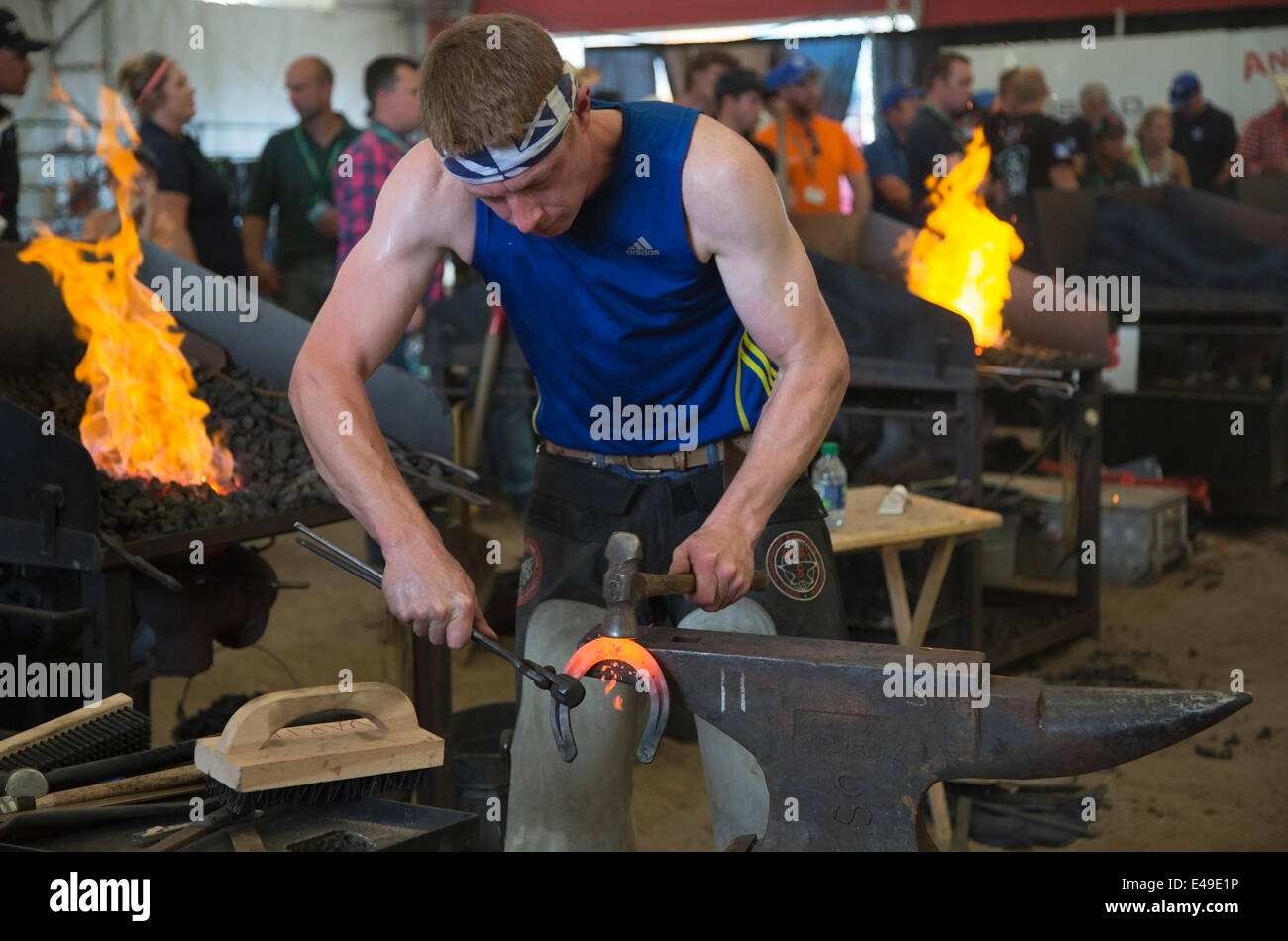 Calgary, Alberta, Canada. 06th July, 2014. Farrier holding hot horse