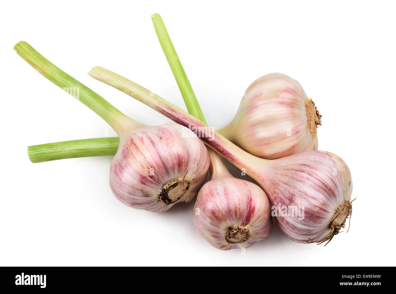 Garlic bulb isolated on white background. Clipping Path Stock Photo