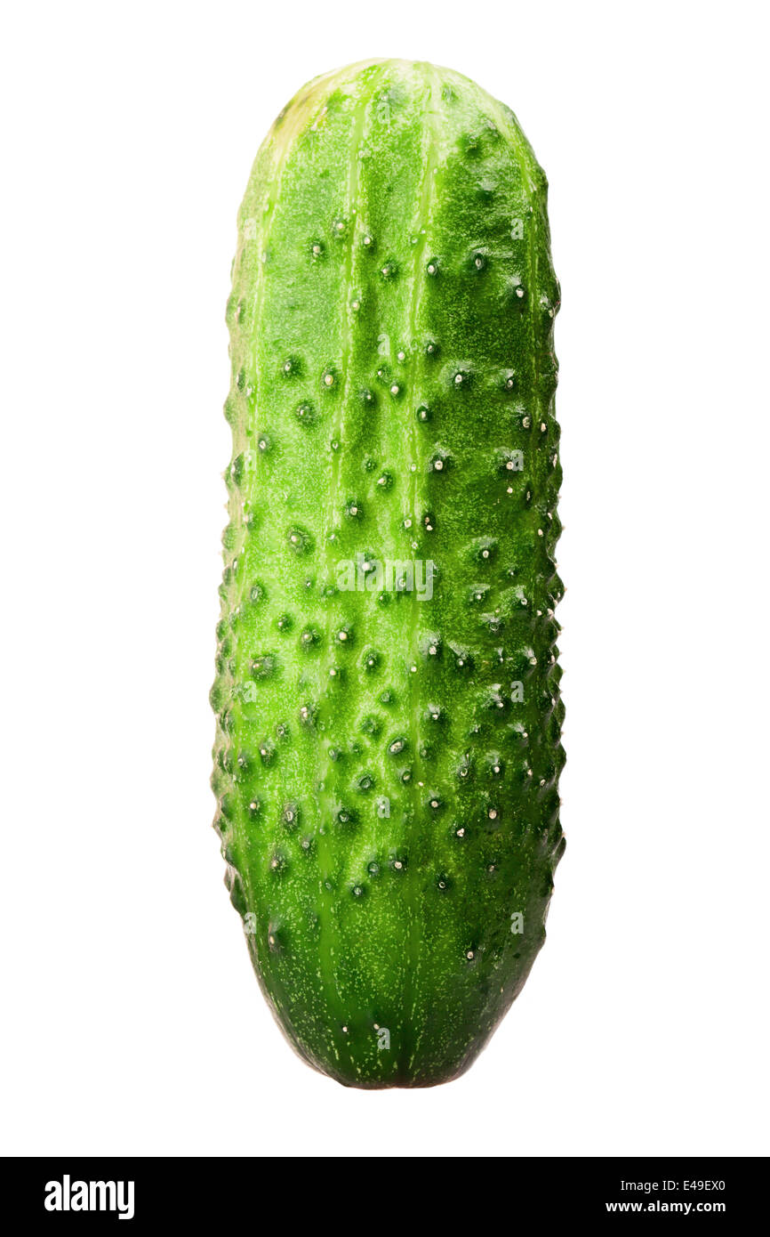 Green cucumber isolated on white Stock Photo