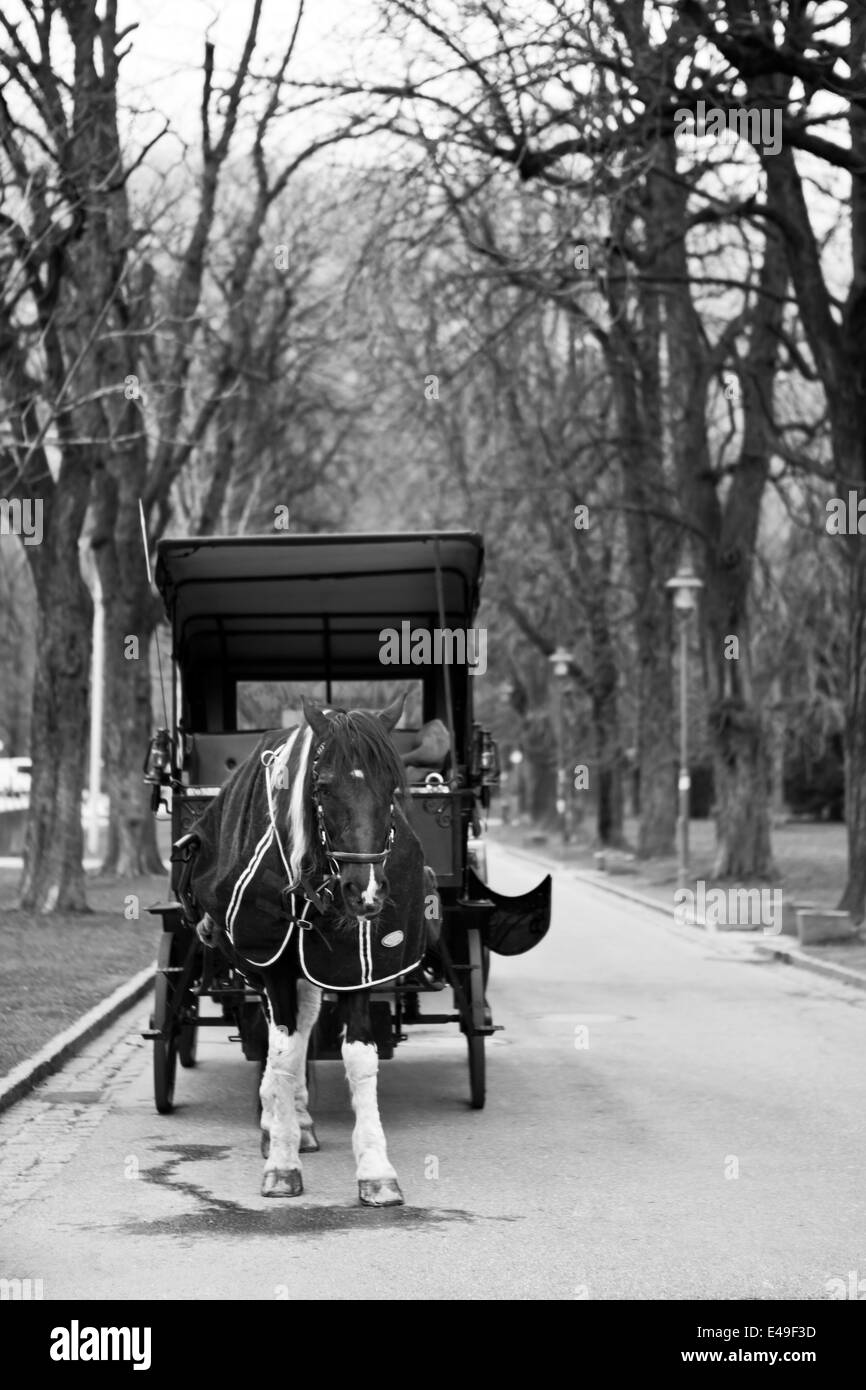 Carriage Inwards