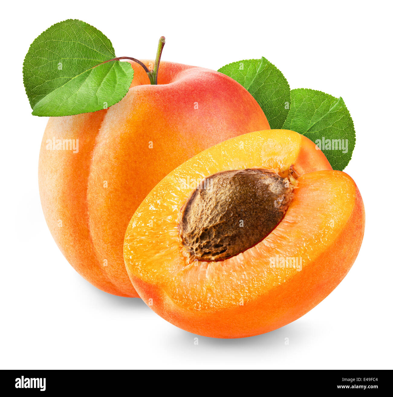 Fresh apricot with leaf on white background Stock Photo - Alamy