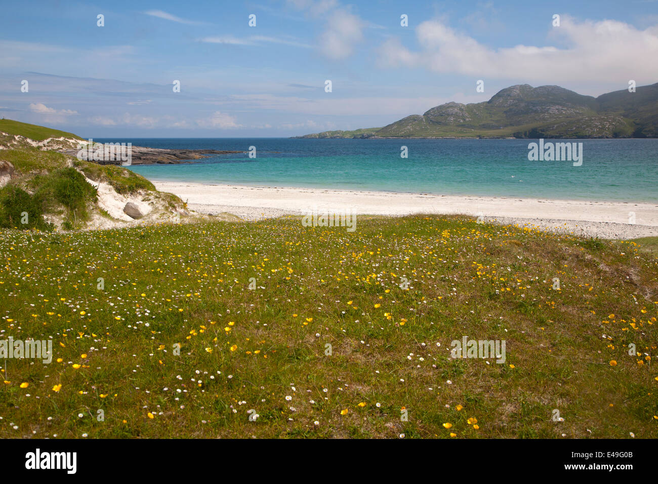 Sandy beach and machair grass on Vatersay, Isle of Barra, Outer Hebrides, Scotland Stock Photo
