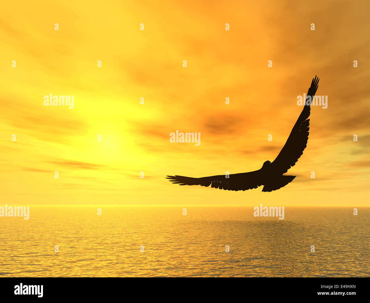 soaring eagle Stock Photo