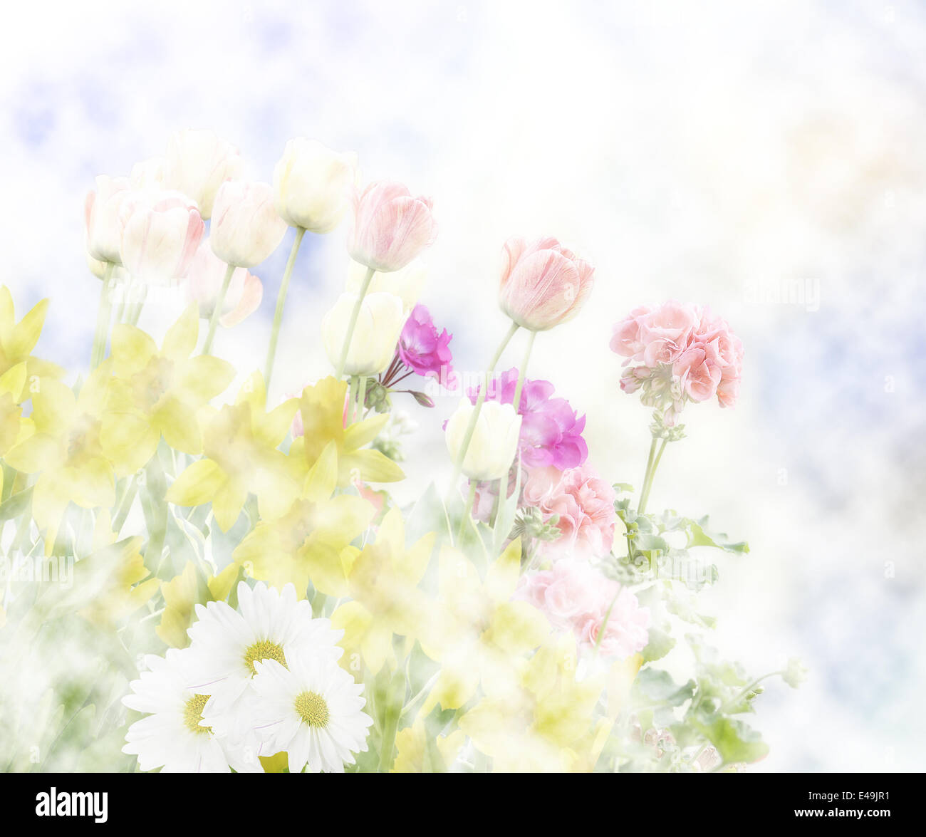 Spring flowers hi-res stock photography and images - Alamy