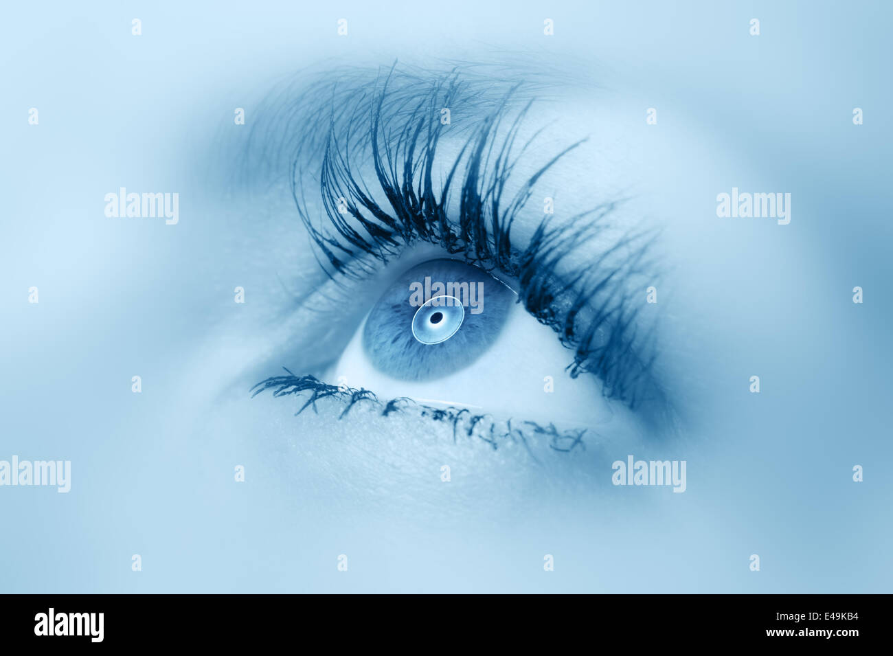 Female eye close up Stock Photo Alamy