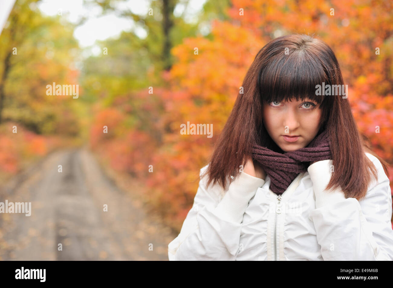 The girl in an autumn forest Stock Photo - Alamy