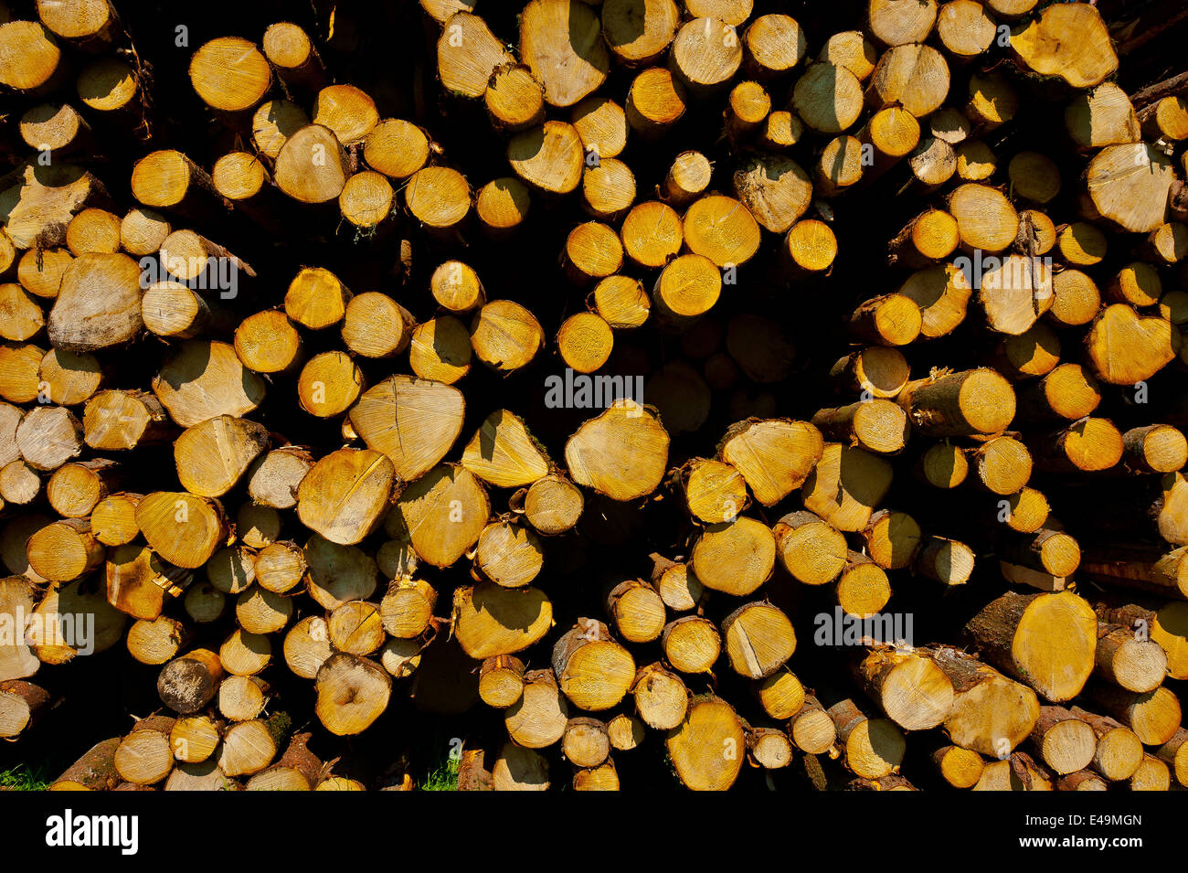 Burning pile dry branches hi-res stock photography and images - Alamy