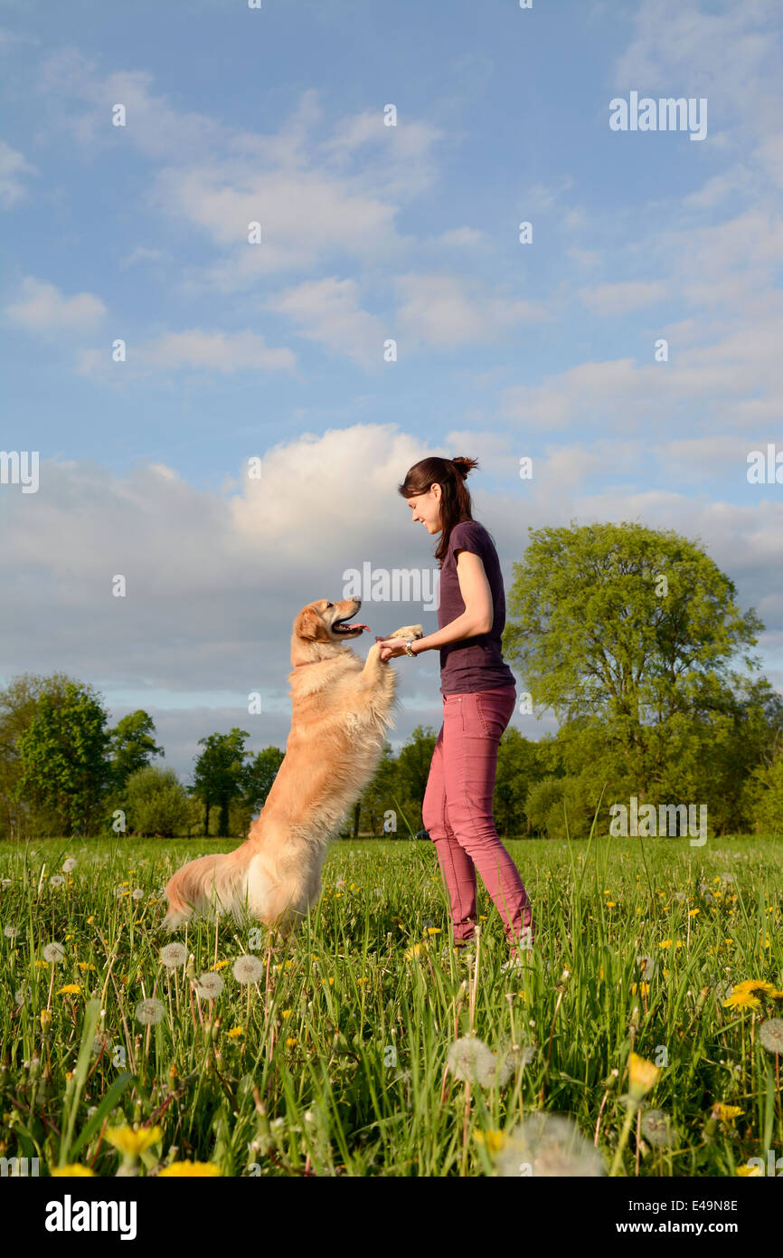 Young woman playing with Golden Retriever on meadow Stock Photo - Alamy
