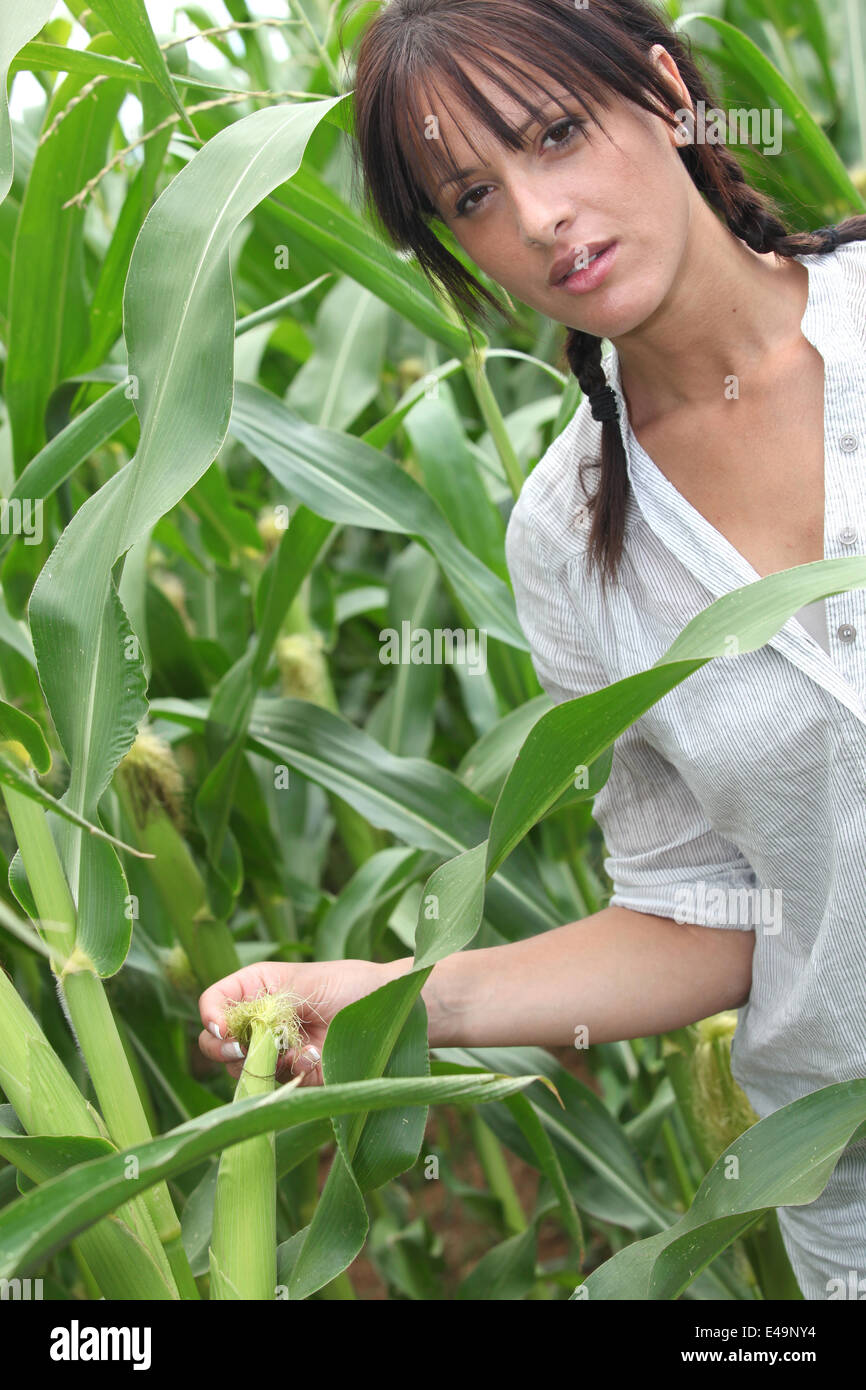 Agriculturist stood in corn field Stock Photo
